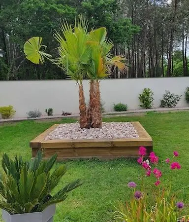 Homestay Au Calme Ocean Foret Avec Piscine Au Sel Et Hourtin