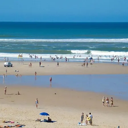 Au Calme Ocean Foret Avec Piscine Au Sel Et * Hourtin